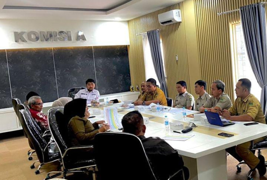 rancangan-peraturan-daerah-tentang-penataan-dan-pembentukan-susunan-perangkat-daerah