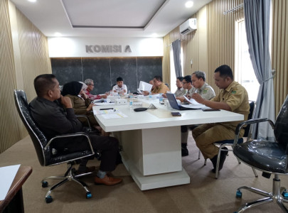 rancangan-peraturan-daerah-tentang-penataan-dan-pembentukan-susunan-perangkat-daerah