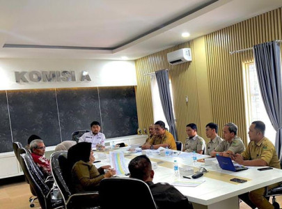 perampingan-perangkat-daerah-kota-palopo