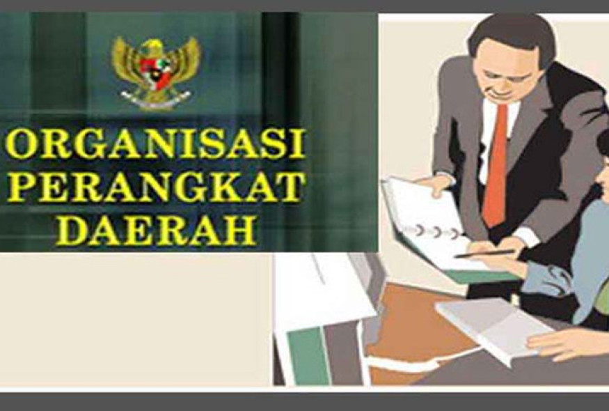 Pemprov Sulsel Setujui 25 Perangkat Daerah Pemkot